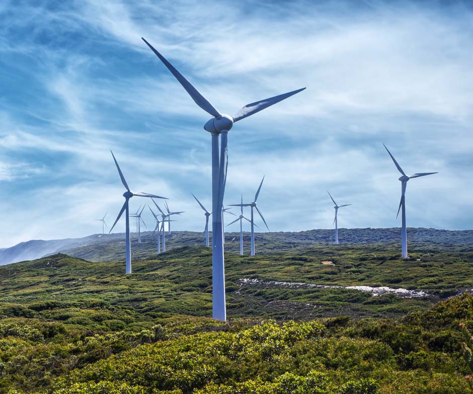 Mehrere Windräder über grünen Bäumen