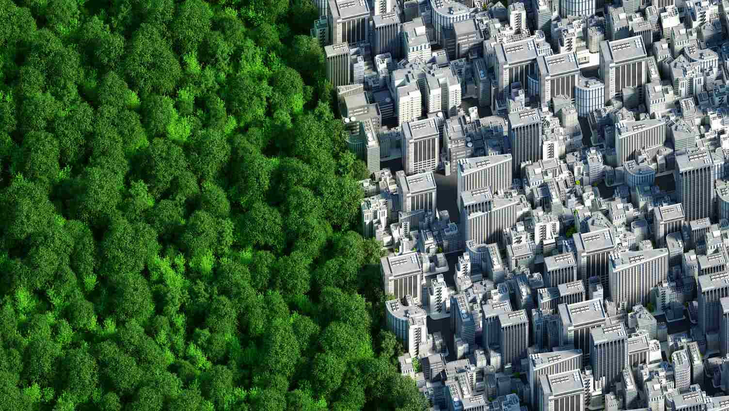 la imagen de un bosque verde y la de edificios una al lado de la otra