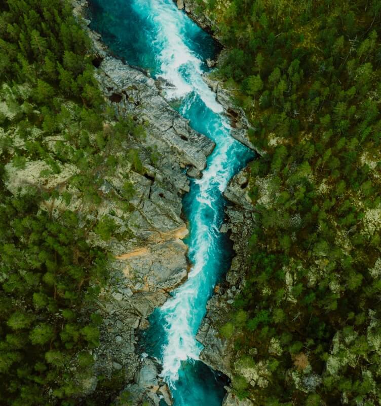 fiume che scorre attraverso la foresta di montagna verde