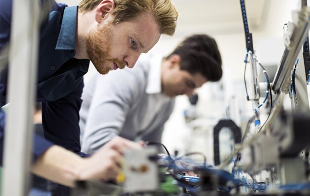 Immagine delle schede dei settori