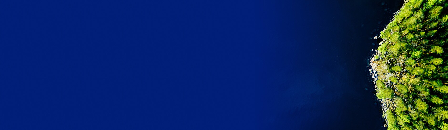 上空から見た緑の風景