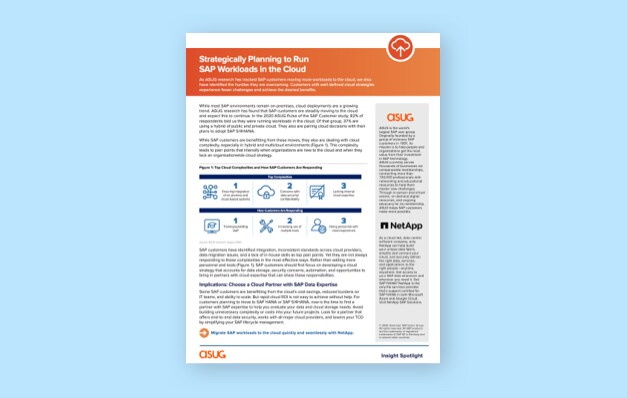 클라우드에서의 SAP 워크로드