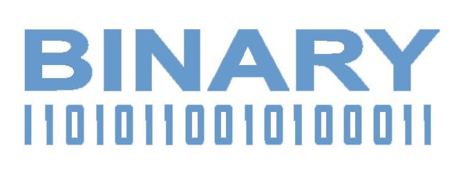 Binary Logo