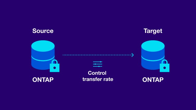 NetApp Replication - Storage and Data Snapshots | NetApp