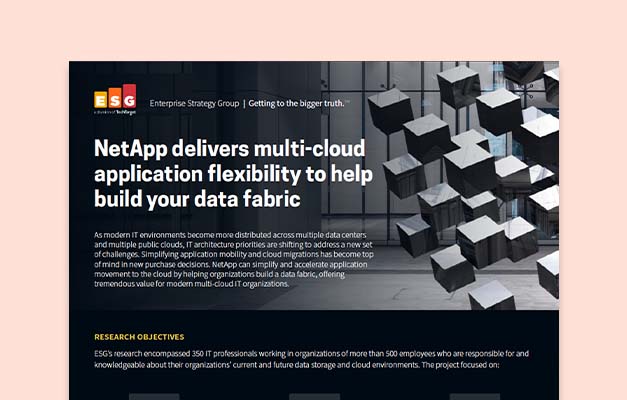 NetApp delivers multicloud PDF