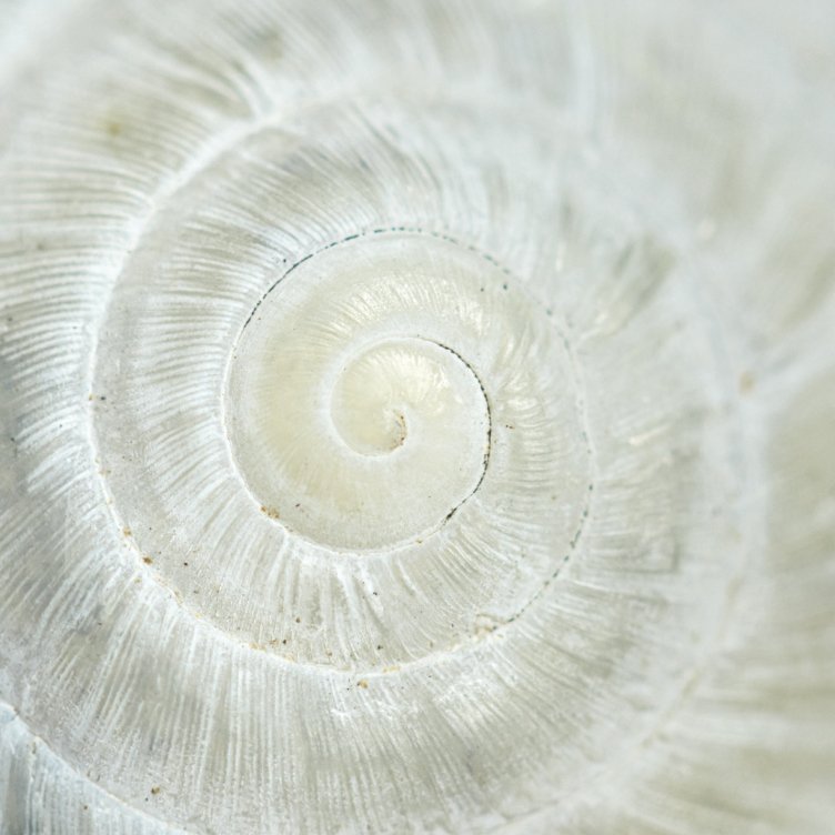 NetApp FAS storage arrays for hybrid flash storage | NetApp