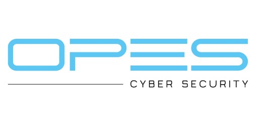 opes cyber security