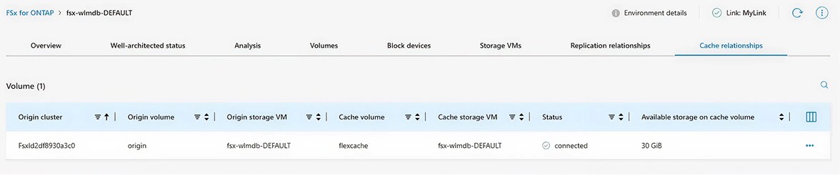 FSx for ONTAP environment details overview
