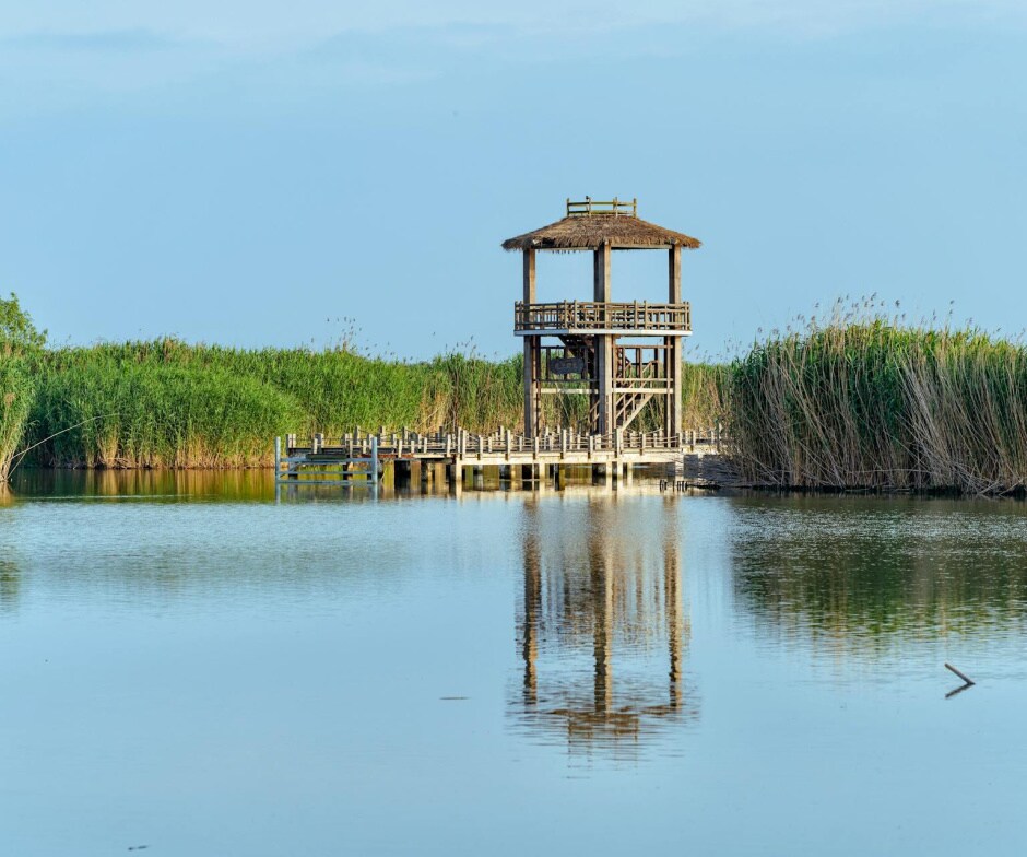 Wooden tower on pier reflected in calm lake, reeds, clear sky.