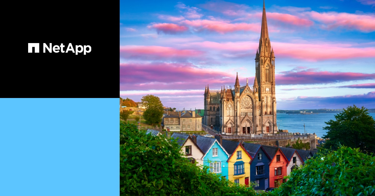 International HQ Jobs in Cork NetApp