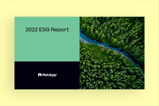 2022 ESG Report
