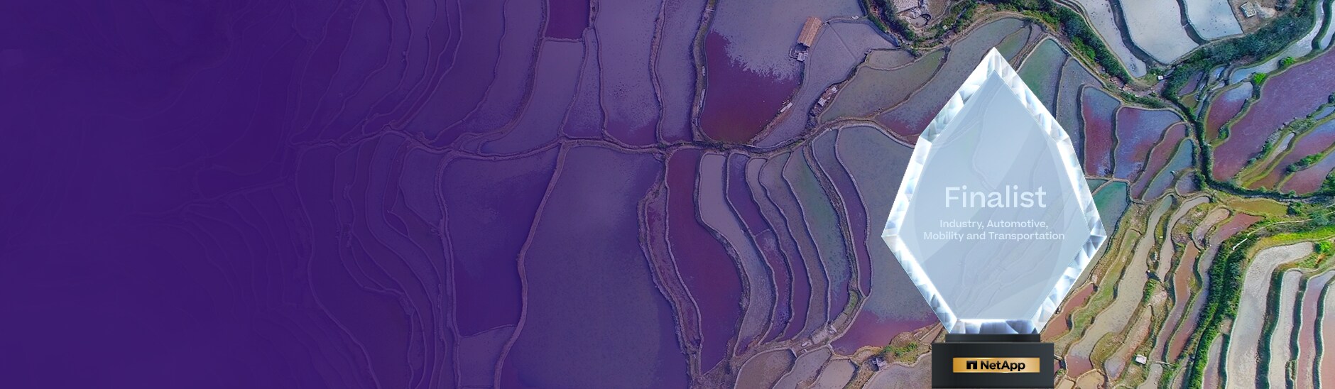 finalist website award on skyview backdrop