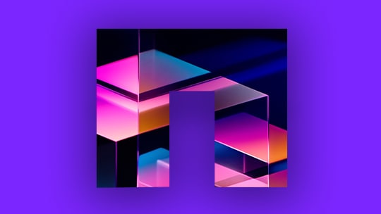 Stylized NetApp N logo