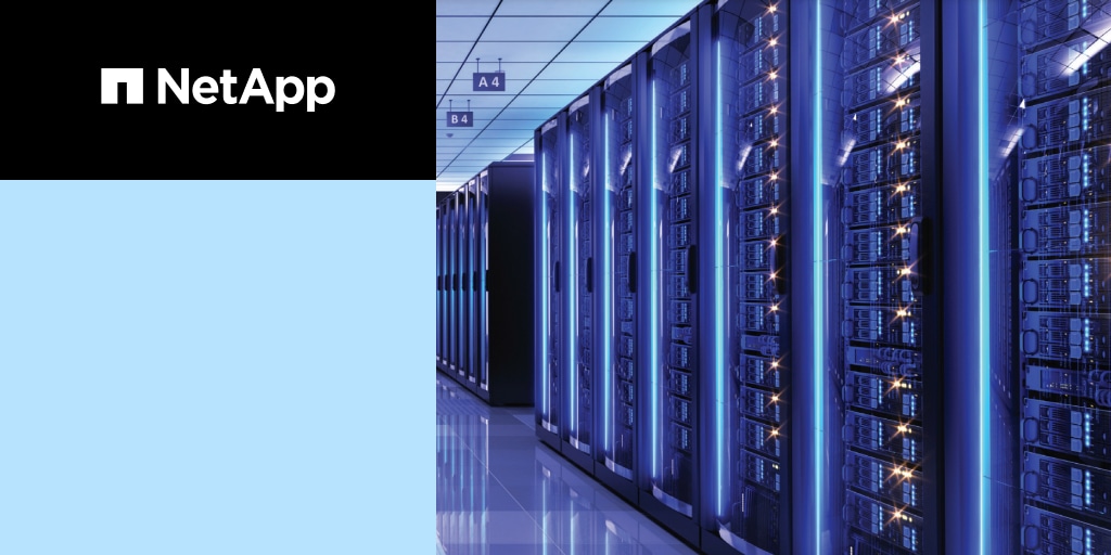U.S. State Agency NetApp Cloud Volumes ONTAP Case Study | NetApp