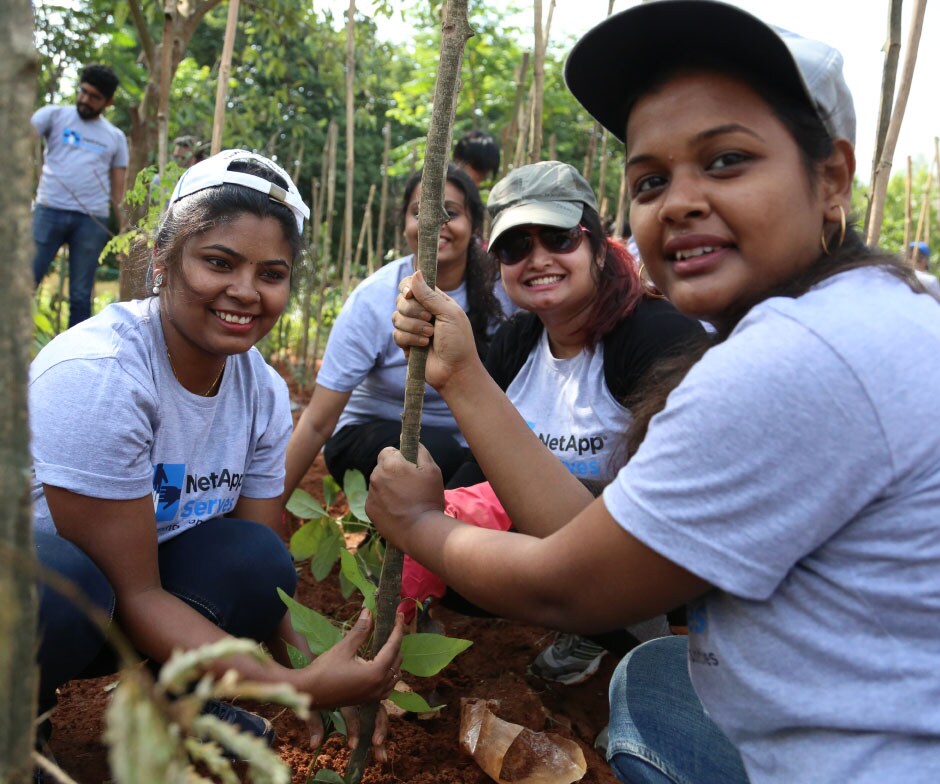 Pessoas plantando árvores
