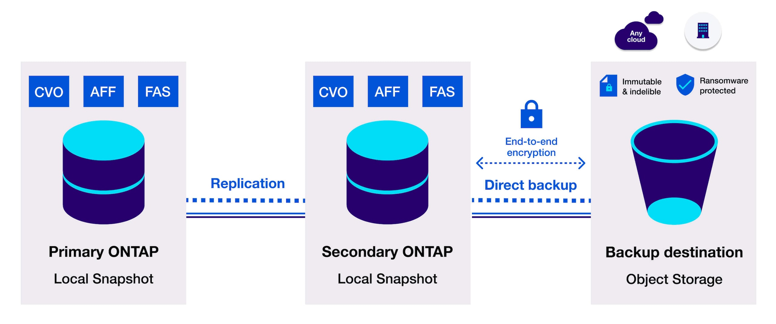 Ontap Data transfer modal