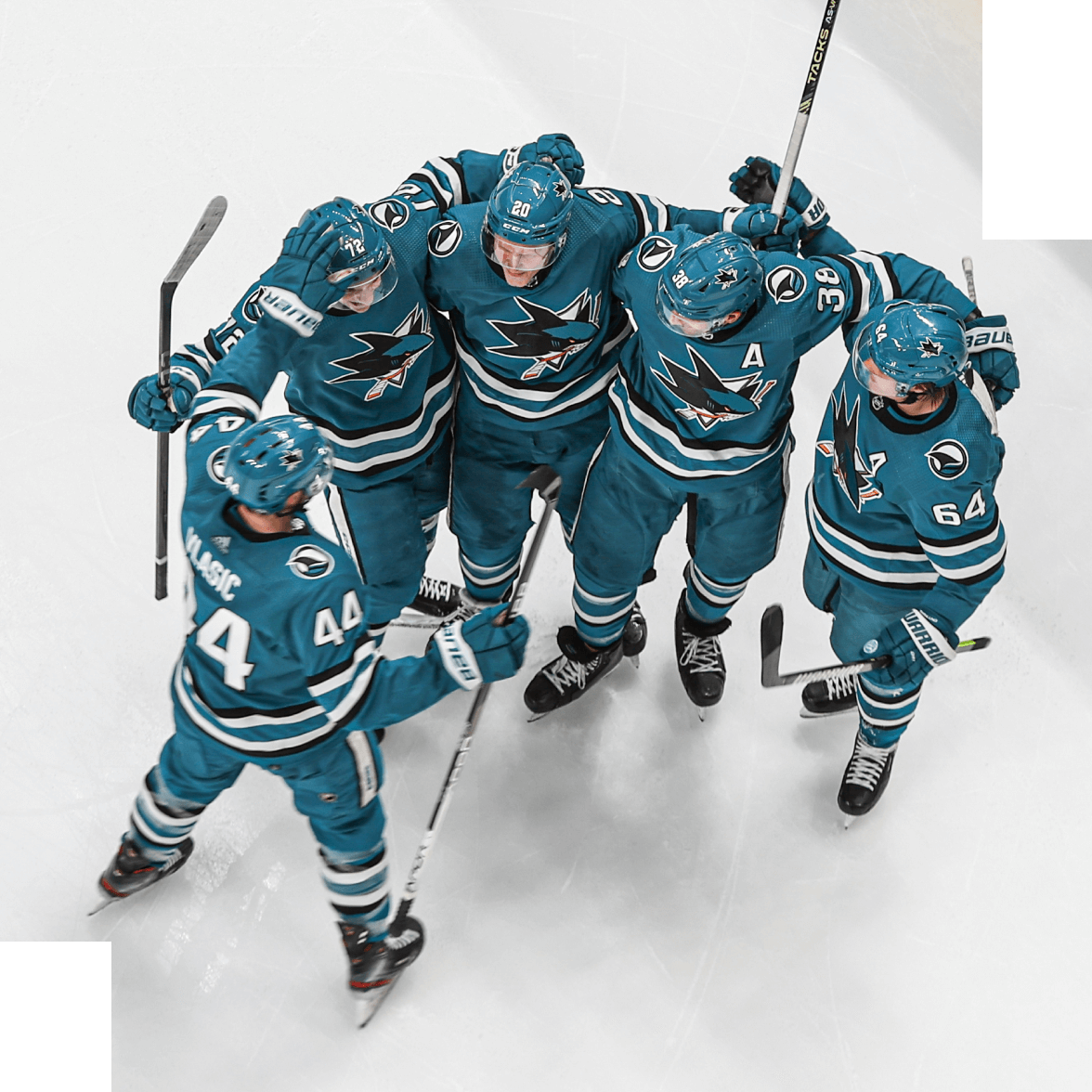 San Jose Sharks together